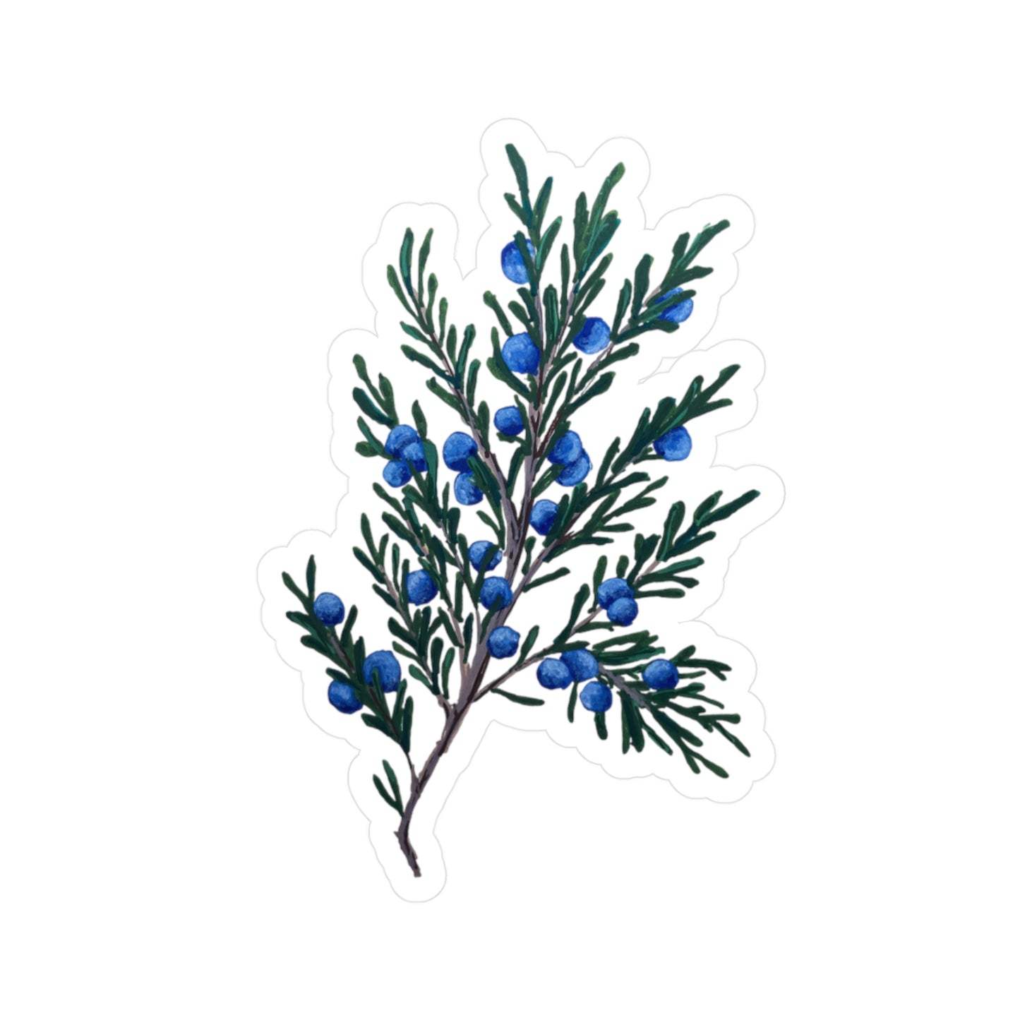 Juniper Sticker