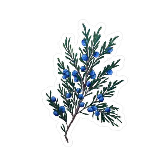 Juniper Sticker