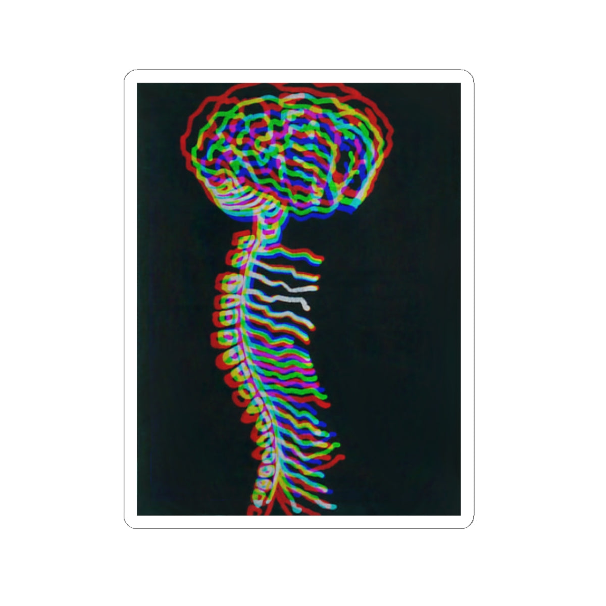 Brain and stem