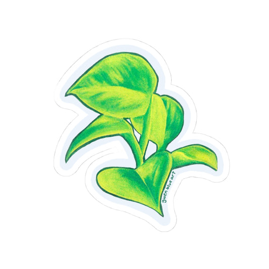 Pothos plant sticker