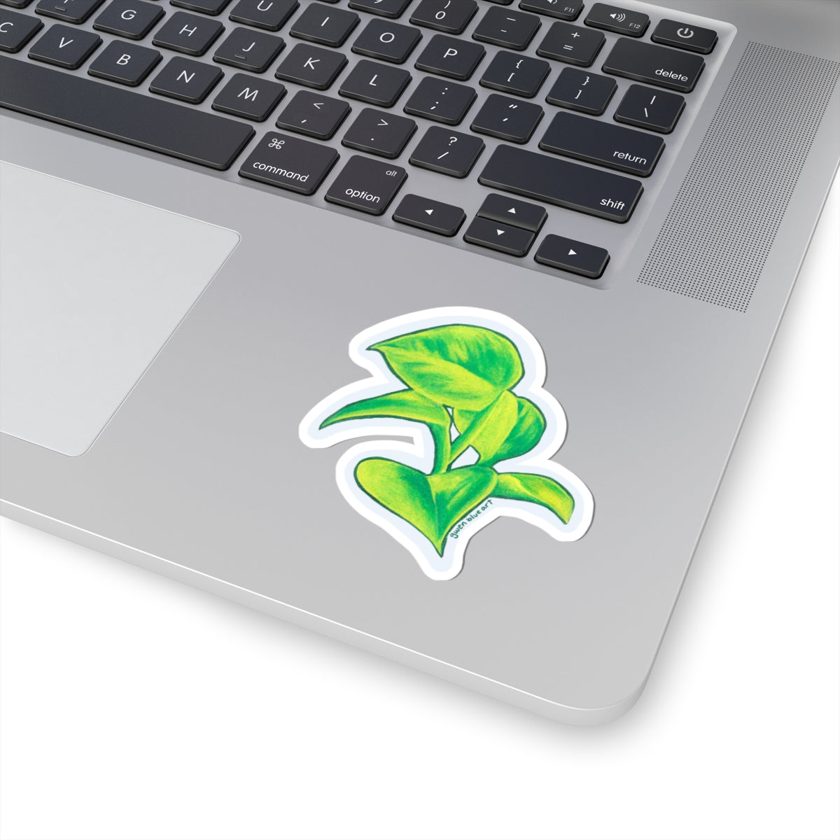 Pothos plant sticker
